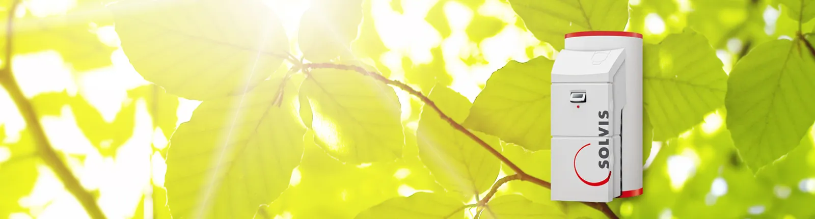 Sonnendurchflutetes Blätterdach mit dem Produktfoto des Heizkessels SolvisBen | SolvisMax im Vordergrund.