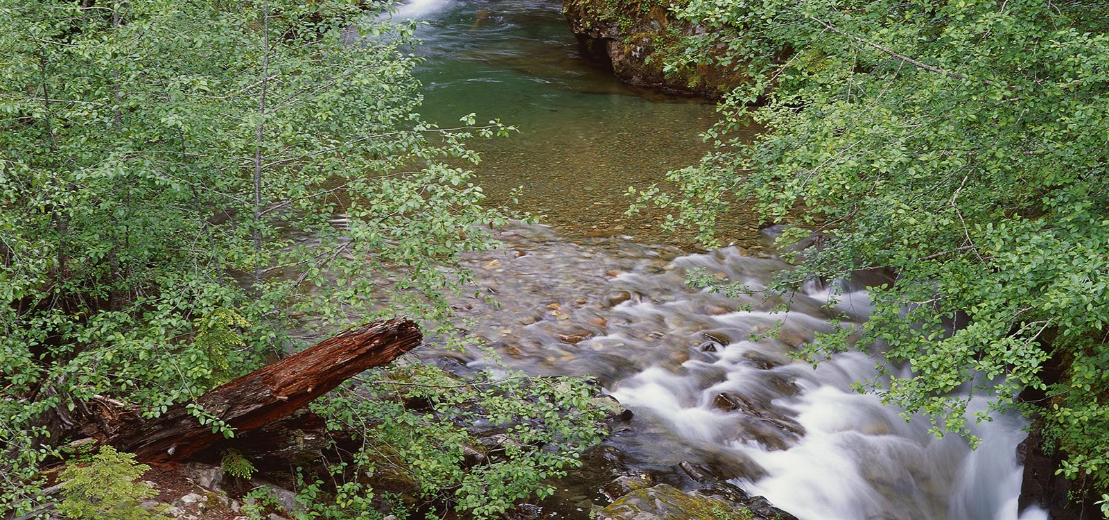 Erneuerbare Energien